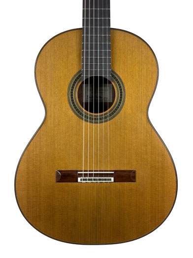 Dieter Müller  - classical guitar  