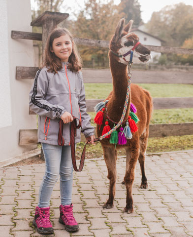 Kind darf ein Alpaka führen beim Kindergeburtstag auf dem Pointnerhof