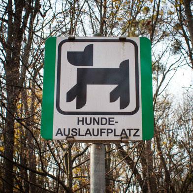 Ein Herbstspaziergang im Wiener Prater mit zwei Hunden