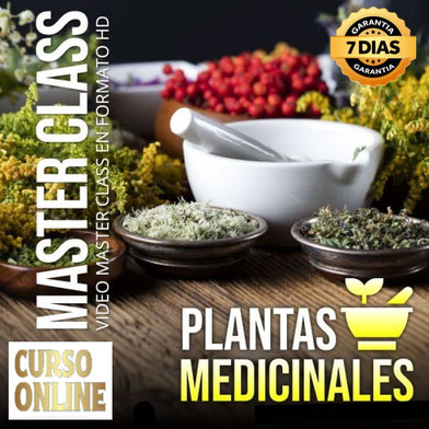 Curso Online Plantas Medicinales, cursos de oficios online,