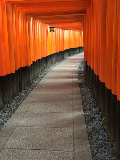 Kyoto - 7 Day Itinerary For Active Families with Small Kids - Hiking the Fushimi Inari Shrine in Kyoto with Small Kids