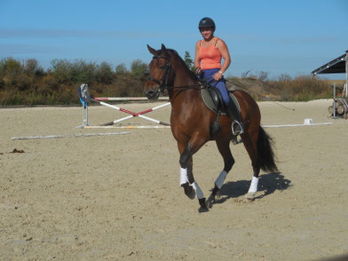 Très bel étalon andalou au travail avec une cavalière internationale - ce fut un court moment de beauté