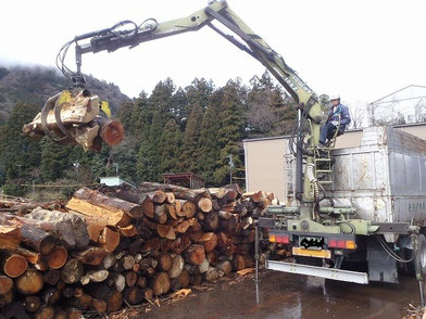 大型トラックによる大径木の搬出