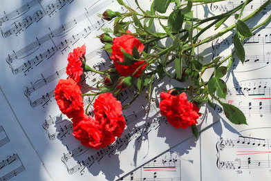 バラの花があしらわれたティーカップとピンクのバラの花たち。