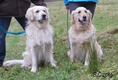 Casper "Catch Your Dreams" und Calando