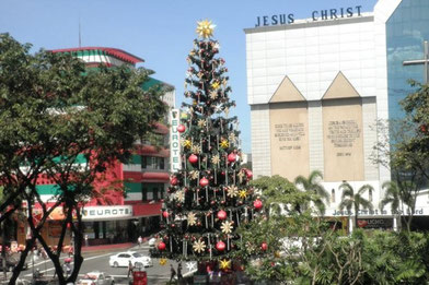 A Born-Again Christian Church and the Traditional Giant  ChristmasTree in Araneta Center