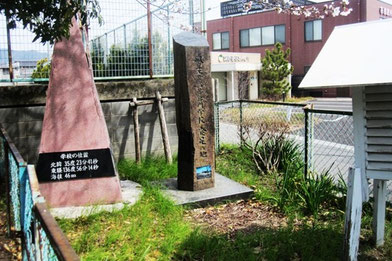 清掃前