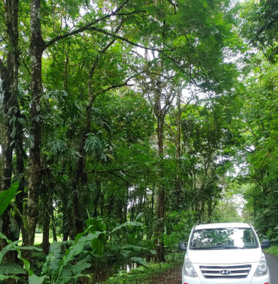 Travelers boarding a private shuttle offering hotel-to-hotel transportation between Tortuguero and La Fortuna.