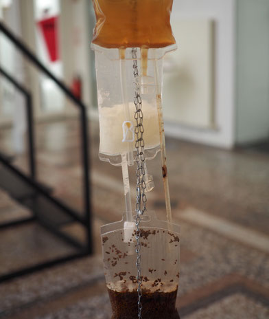 Maaijke Middelbeek, Becoming with, Contamination, Interspecies Care