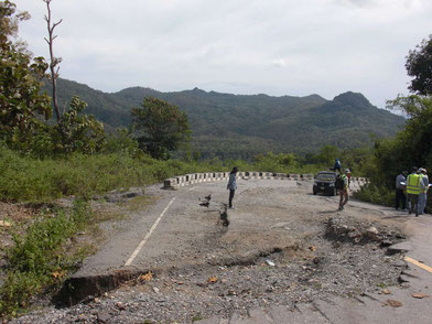 Joint survey of road damage caused by landslides