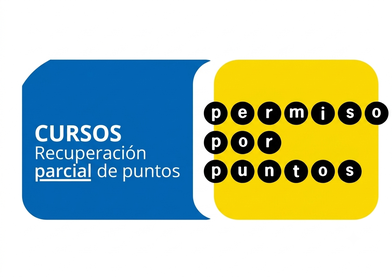 Curso permiso por puntos PARCIAL