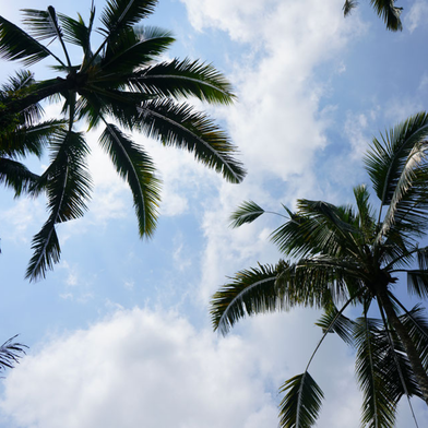 CO2 Fussabdruck auf Reisen reduzieren