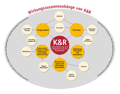 Wirkungszusammenhänge von K&R