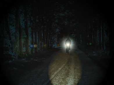 Radfahrer mit Licht / Bild von Dieter_G auf Pixabay