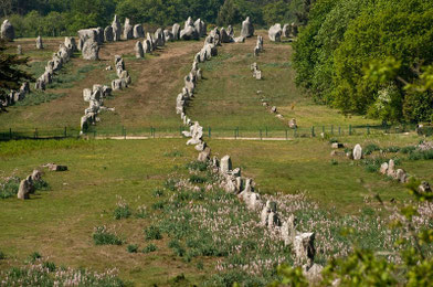 dictée bilan les mégalithes de Carnac cm1