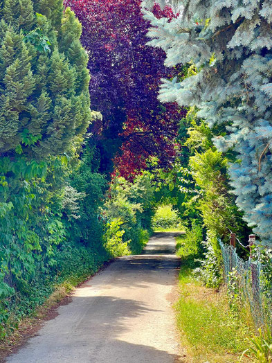         Stuttgart -Sommerrain, Gartenanlage