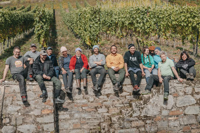 Moselweine vom Bio-Weingut Staffelter Hof in Kröv an der Mosel