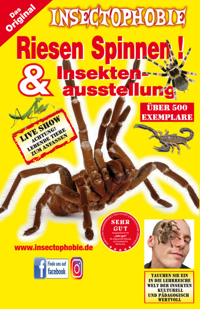 Insectophobie – Deutschlands größte mobile Spinnen- und Insektenausstellung