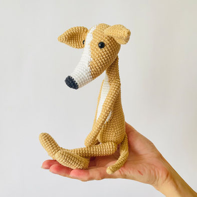 Italian Greyhound dog
