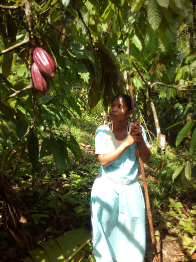 Seit einer Woche arbeitet diese 20-jährige Ngobe als Guide für Örebä, die uns bestens alles über den Kakao erklärt hat. Quelle: privat