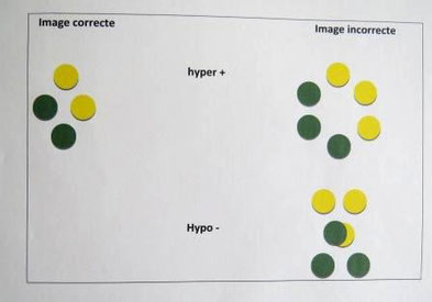 L'OBJECTIF EST LA PERCEPTION CORRECTE DE L'IMAGE