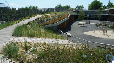 Toiture de dunes du groupe scolaire Césaire à Nantes par Phytolab