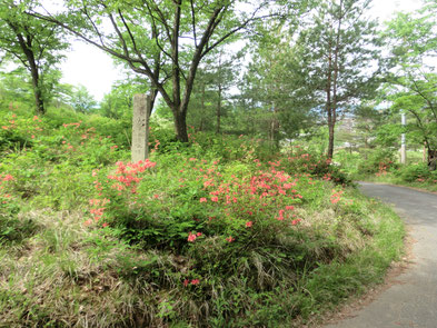 八ケ森自然公園