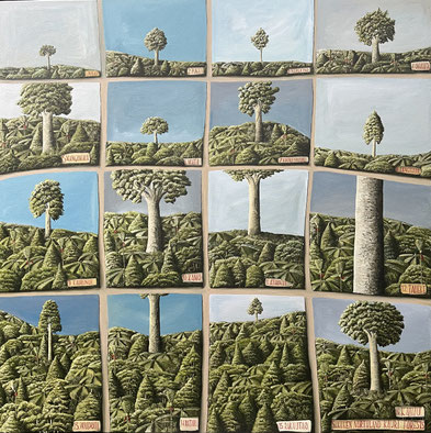 Sixteen Northern kauri, 95 x95 cm Oil on canvas SOLD