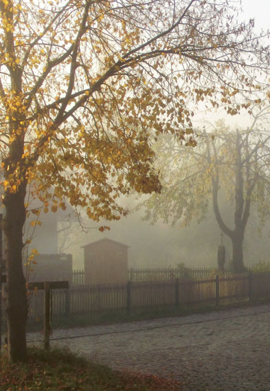Herbstbild