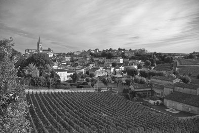 Grands Crus Saint Emilion Vin Inspiration Fanfaron