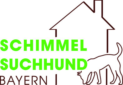Gutachter Münchenn Revoneer