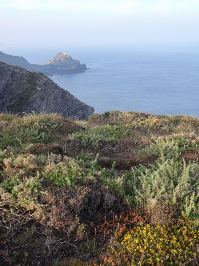 Bild: Blick auf die Halbinsel des Fort des capucins