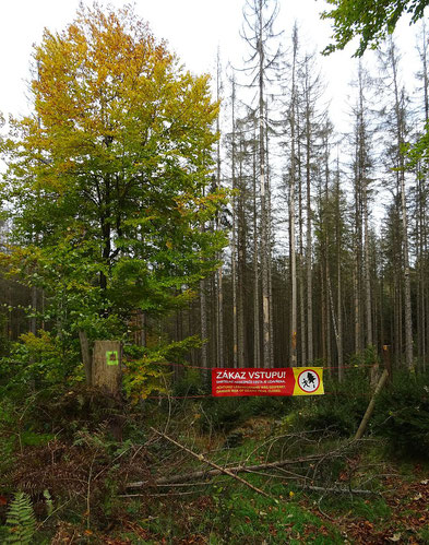 Absperrung im Nationalpark Böhmische Schweiz