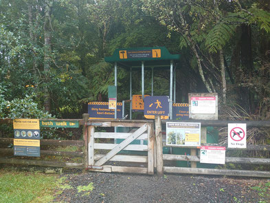 Der Schutz der empfindlichen Kauri-Bäume wird überall groß geschrieben: Den Wald darf man nur mit sauberen, desinfizierten Schuhen betreten. 