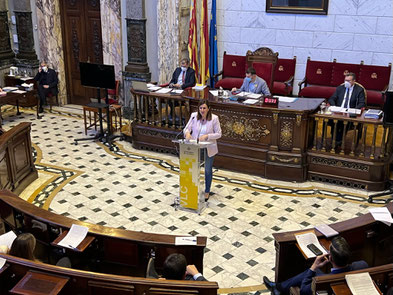 Catalá, portavoz de PP de Valencia