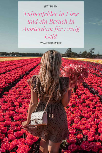 Geld sparen während der Hauptsaison in Amsterdam.
