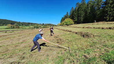 Pflegearbeiten auf der Wiese in Aufen (Foto: P. Gapp)