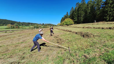 Pflegearbeiten auf der Wiese in Aufen (Foto: P. Gapp)