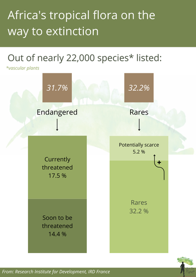 la flore tropicale africaine en voie d'extinction : l'impact de l'environnement