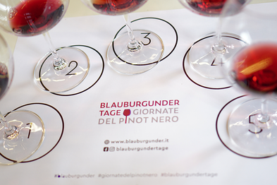 Egna e Montagna: Giornate altoatesine del Pinot Nero – Ciack: prima scena!