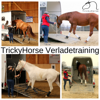 horsemanship training