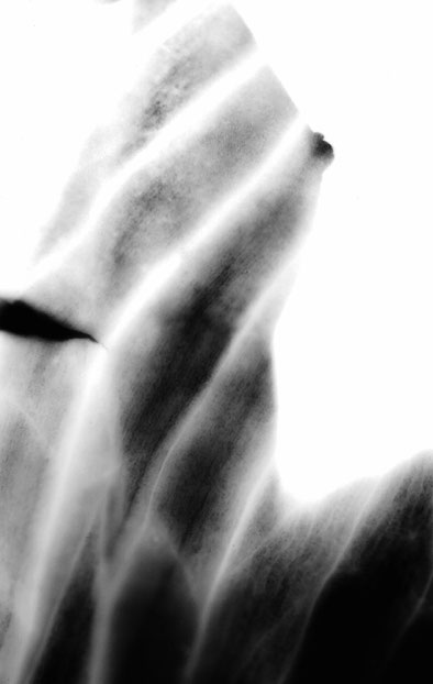 Fine Art Print behind Acrylic Glass