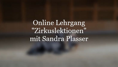 Vorschau Online Kurse Zirkuslektionen