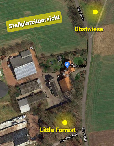Milchviehbetrieb Wilken — photo 3