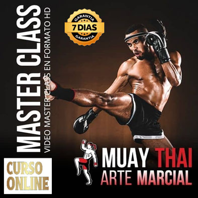 Curso Online Muay Thai Arte Marcial, cursos de oficios online,