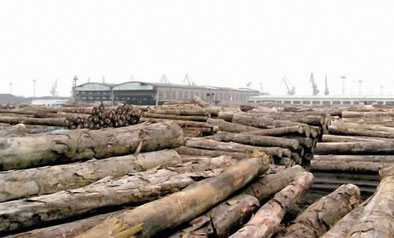 Billes de bois au parc a bois du port de Douala
