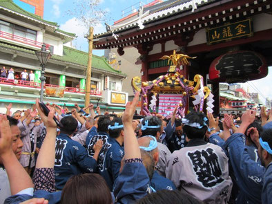 <三社祭> Snj19_042 ©️なますてさん