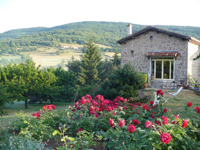 le jardin chez Judy