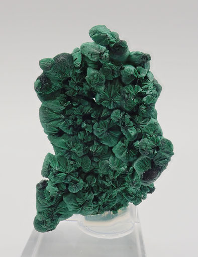 Botroidal Malachite