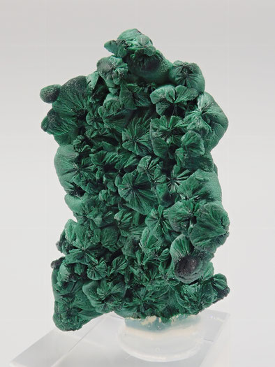 Botroidal Malachite